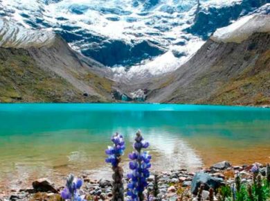 Laguna Humantay 1 Día