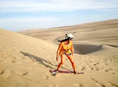 Tours Islas Ballestas & Paracas Full Day