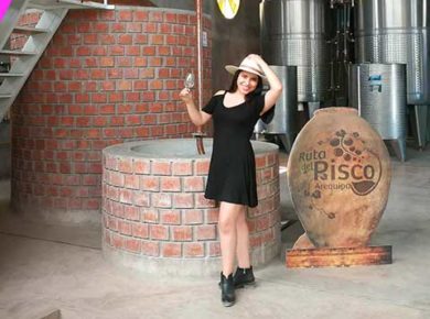 Tour Ruta del Pisco